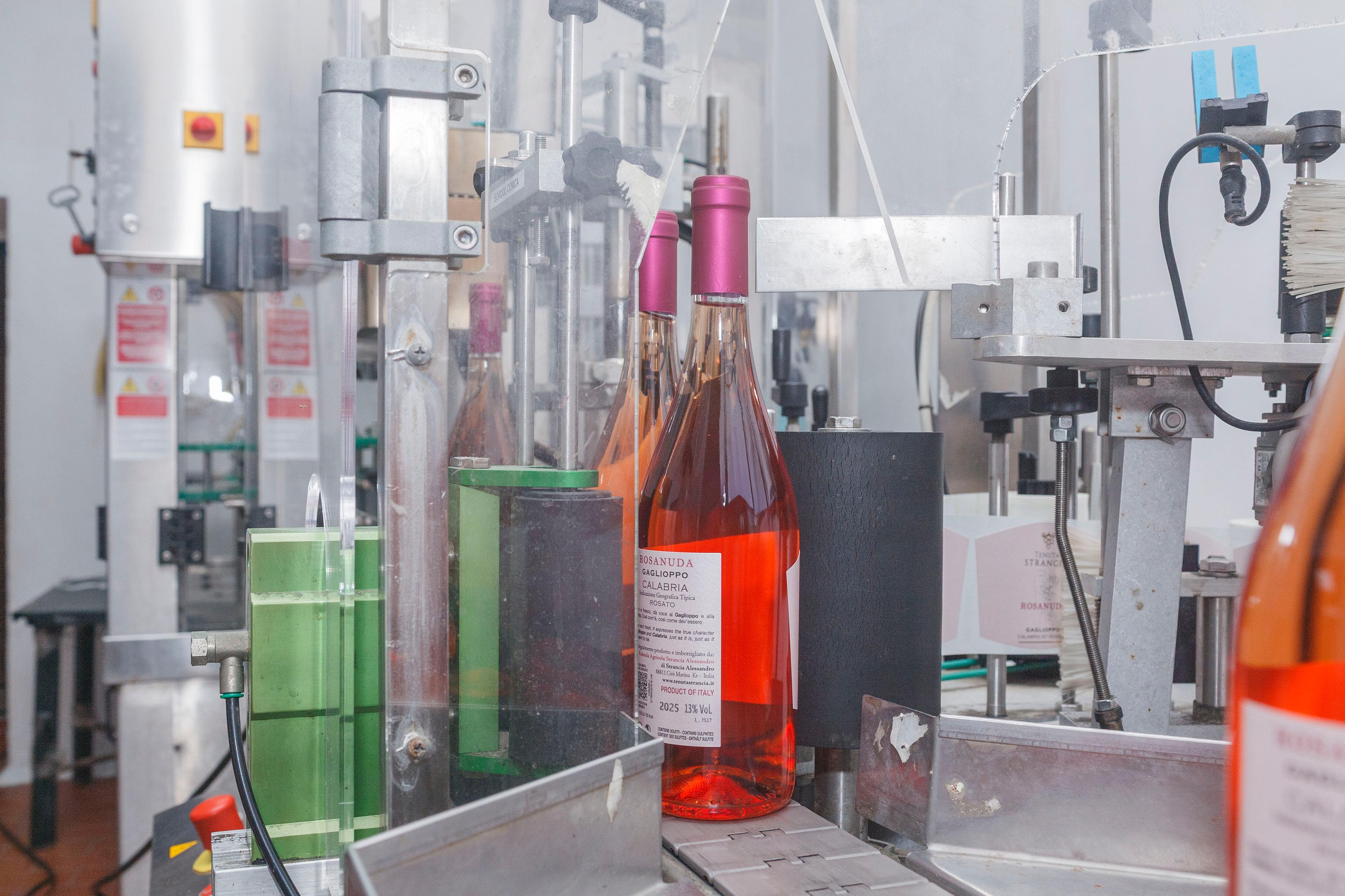 Scrivici, vieni in cantina, segui il lavoro